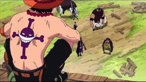 赤犬元帅爆料视频大全,独家爆料视频大全深度解析