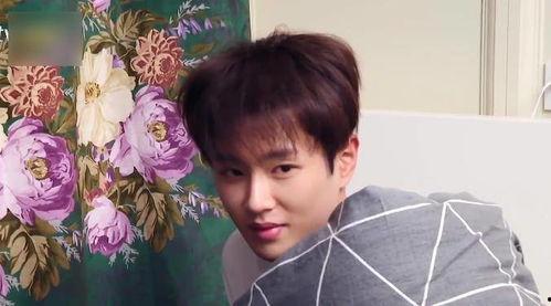 娱乐圈吃瓜李宏毅是谁,揭秘他的明星之路  第1张